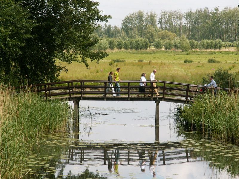 Wandelen in de  Biesbosch