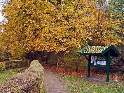 Staelduinse Bos