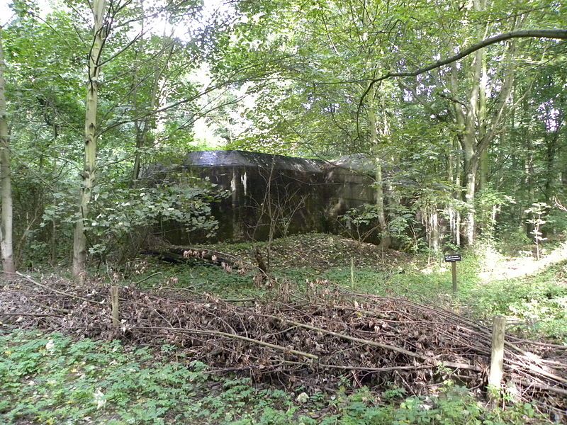 Bunker met Vleermuizen in het staehlduinse Bos. 