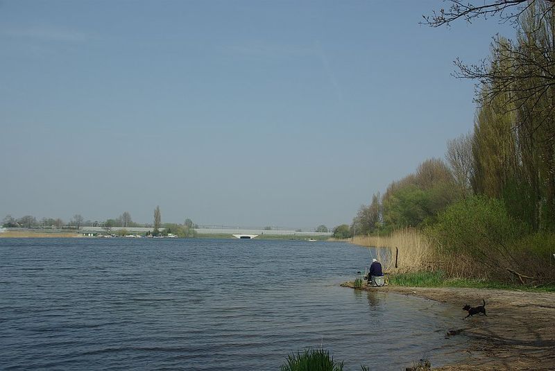 Waaltje bij Heerjansdam