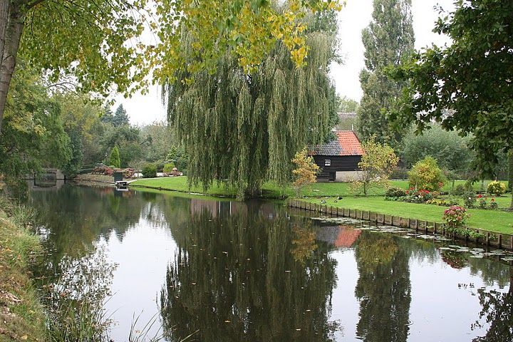 Zederik foto: Jan Dijkstra