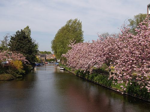 Katwijk aan de Rijn - Oude Rijn.  foto-Martin van Duyn