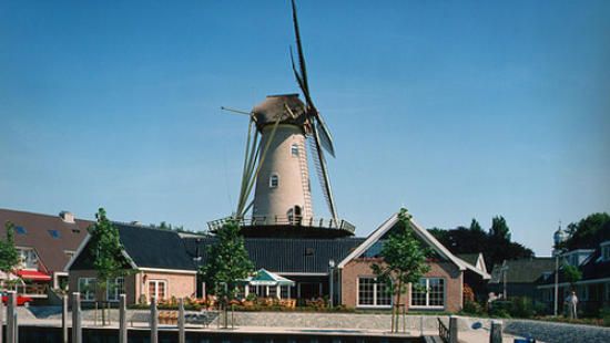 De Schelvenaer