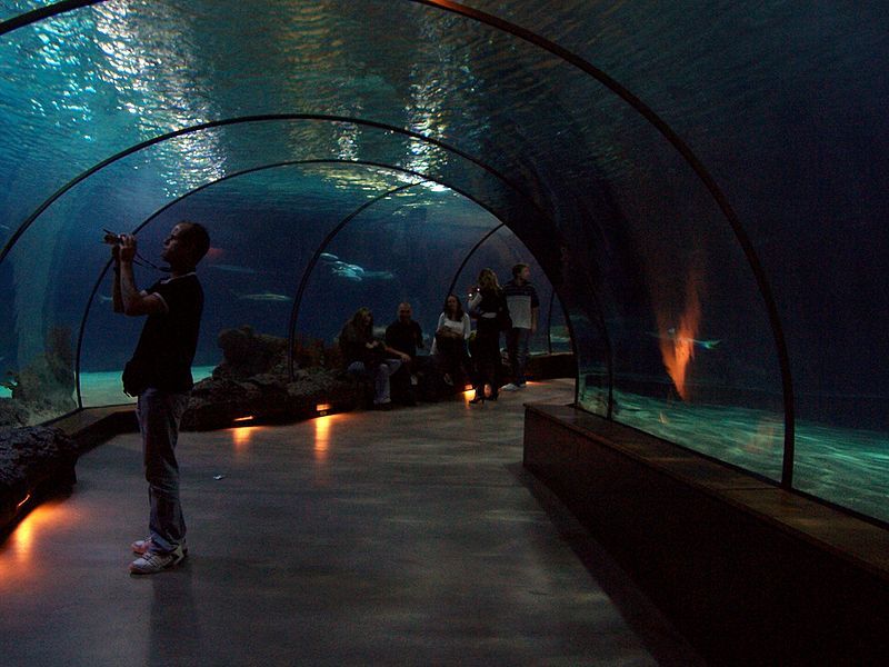 Oceanium in Diergaarde Blijdorp