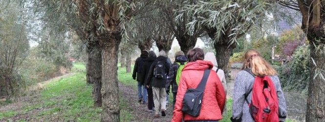 Wandelen omgeving De Boshoek