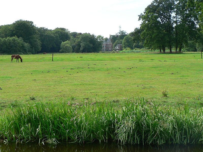 De groene zone nabij kasteel Duivenvoorde