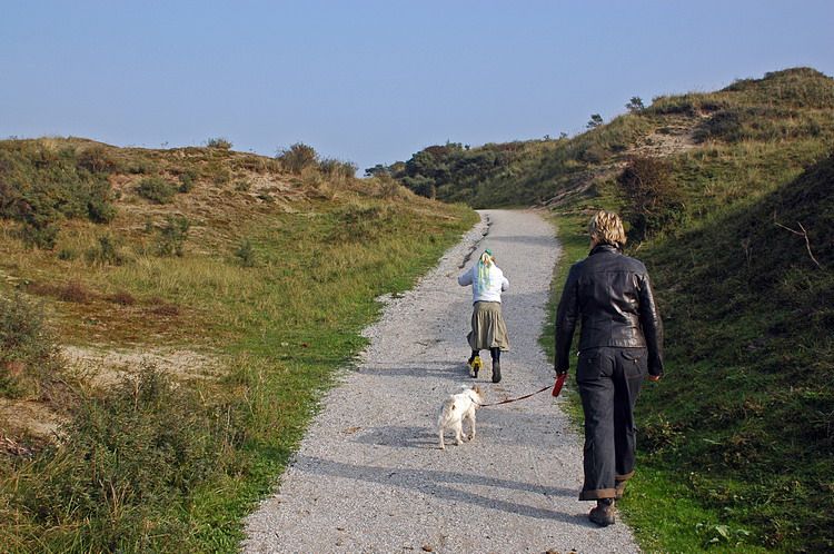 Wandelen door de duinen