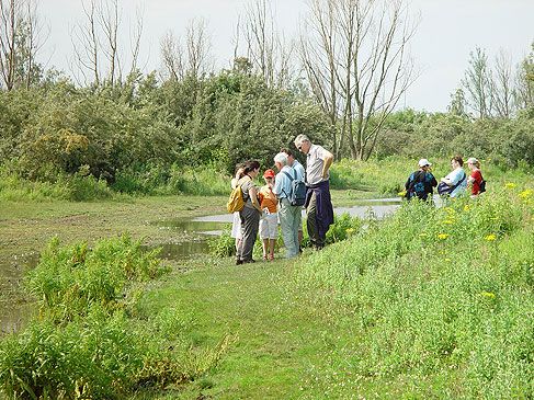 Excursie in d eHellegatsplaten